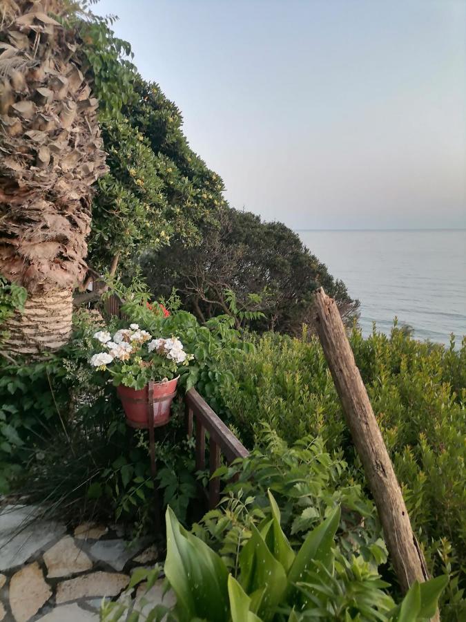 Dionisis Apartments Kounopetra 외부 사진
